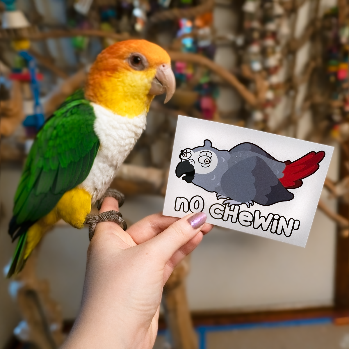 Birdmock Sticker