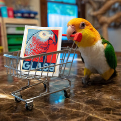 Apollo for President