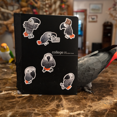 Doodle Apollo Sticker Sheet